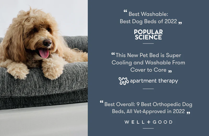 Washable & Orthopedic Pet Bed - Image 15